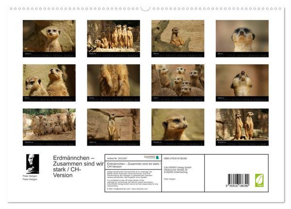 Produktbild: Erdm&auml;nnchen &ndash; Zusammen sind wir stark / CH-Version (hochwertiger Premium Wandkalender 2026 DIN A2 quer), Kunstdruck in Hochglanz