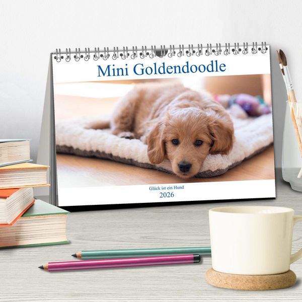 Produktbild: Mini Goldendoodle - Gl&uuml;ck ist ein Hund (Tischkalender 2026 DIN A5 quer), CALVENDO Monatskalender
