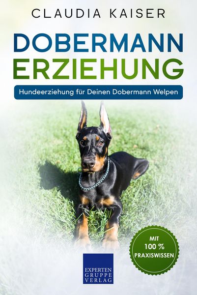 Produktbild: Dobermann Erziehung: Hundeerziehung f&uuml;r Deinen Dobermann Welpen
