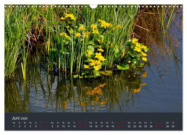 Produktbild: Heimat im Bremer Blockland (Wandkalender 2026 DIN A3 quer), CALVENDO Monatskalender