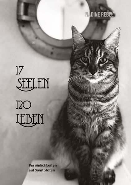 Produktbild: 17 Seelen - 120 Leben