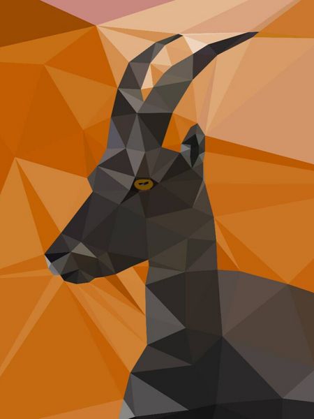 Produktbild: CALVENDO Puzzle Steinbock | 1000 Teile Lege-Gr&ouml;&szlig;e 64x48cm Foto-Puzzle f&uuml;r gl&uuml;ckliche Stunden