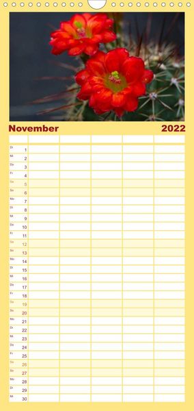 Produktbild: Bl&uuml;tensymphonie - Kakteen und Sukkulenten - Familienplaner hoch (Wandkalender 2022 , 21 cm x 45 cm, hoch)