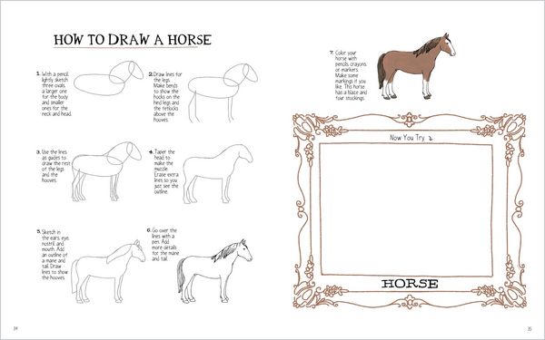 Produktbild: Julia Rothman's Farm Anatomy Activity Book