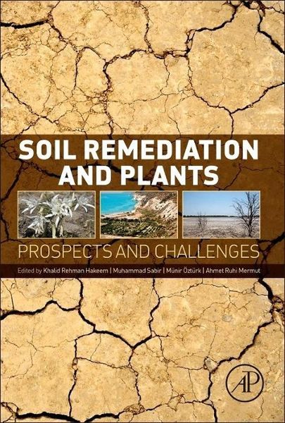 Produktbild: Soil Remediation and Plants