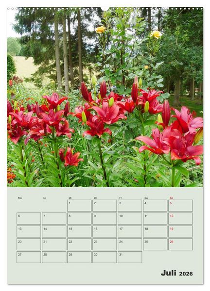 Produktbild: Lilien im Garten (hochwertiger Premium Wandkalender 2026 DIN A2 hoch), Kunstdruck in Hochglanz