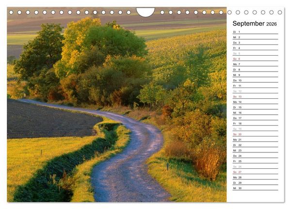 Produktbild: DER STEIGERWALD - Impressionen einer Landschaft (Wandkalender 2026 DIN A4 quer), CALVENDO Monatskalender