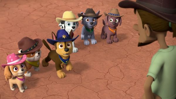 Produktbild: Paw Patrol: Sommer Einsatz