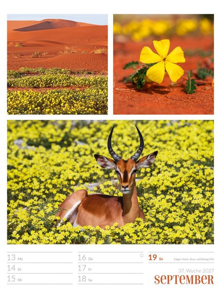 Produktbild: Farben der Natur Wochenplaner Kalender 2027