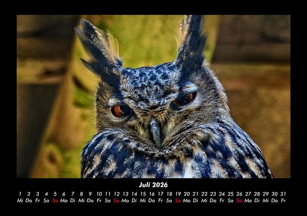 Produktbild: V&ouml;gel 2026 Fotokalender DIN A3