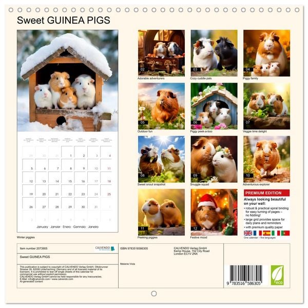 Produktbild: Sweet GUINEA PIGS (Wall Calendar 2026 12 &times; 12 Inch) CALVENDO 12 Month Wall Calendar