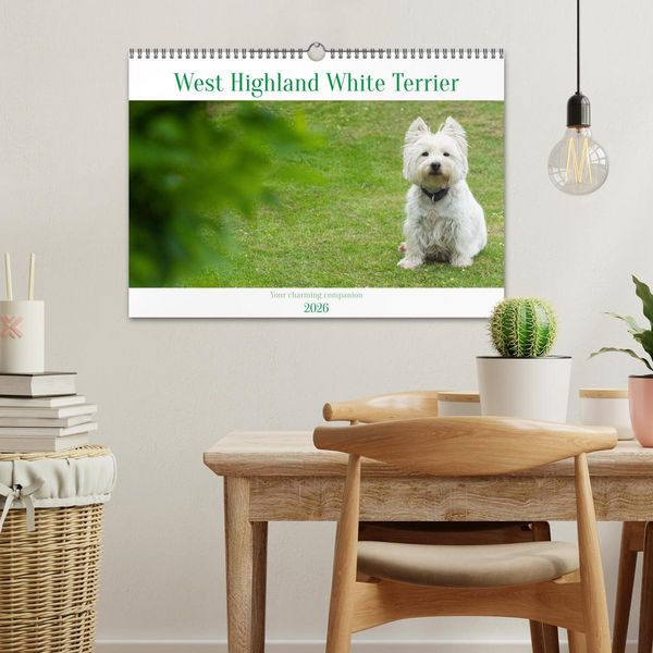 Produktbild: West Highland White Terrier - Your charming companion (Wall Calendar 2026 DIN A3 landscape), CALVENDO 12 Month Wall Calendar