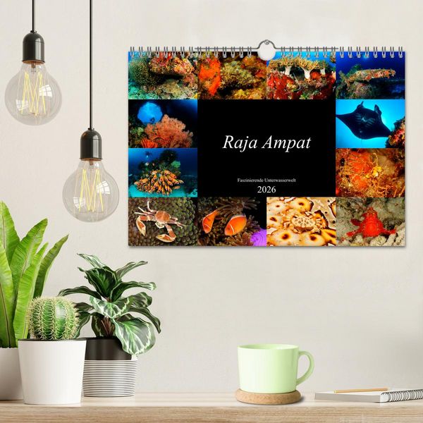Produktbild: Raja Ampat - Faszinierende Unterwasserwelt (Wandkalender 2026 DIN A4 quer), CALVENDO Monatskalender