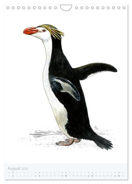 Produktbild: Pinguine - 13 Illustrationen (Wandkalender 2026 DIN A4 hoch), CALVENDO Monatskalender