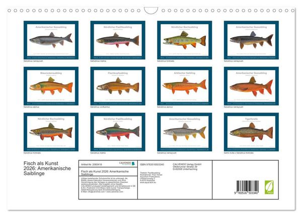 Produktbild: Fisch als Kunst 2026: Amerikanische Saiblinge (Wandkalender 2026 DIN A3 quer), CALVENDO Monatskalender