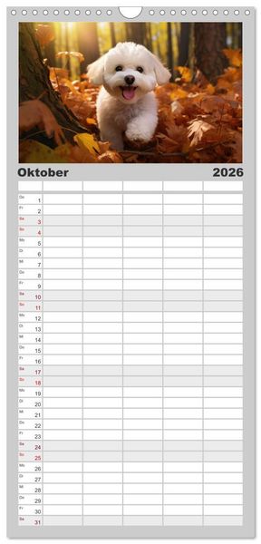 Produktbild: Familienplaner 2026 - Bichon fris&eacute;, wei&szlig;e H&uuml;ndchen mit lockigem Haar mit 5 Spalten (Wandkalender, 21 x 45 cm) CALVENDO