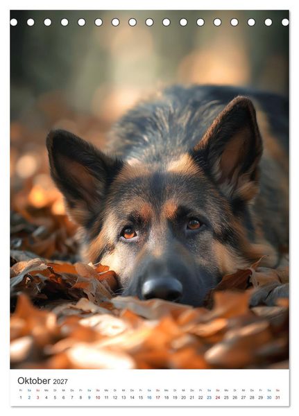 Produktbild: Seelenblick Sch&auml;ferhund (Tischkalender 2027 DIN A5 hoch), CALVENDO Monatskalender
