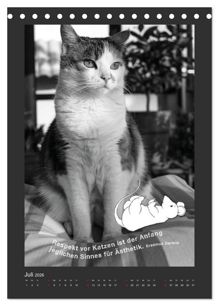 Produktbild: Katz & Maus (Tischkalender 2026 DIN A5 hoch), CALVENDO Monatskalender
