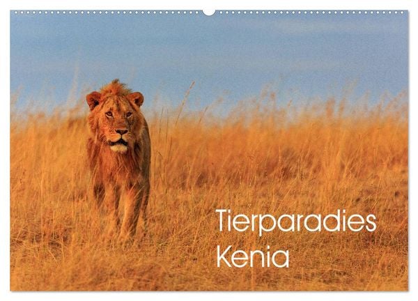 Produktbild: Tierparadies Kenia (Wandkalender 2026 DIN A2 quer), CALVENDO Monatskalender