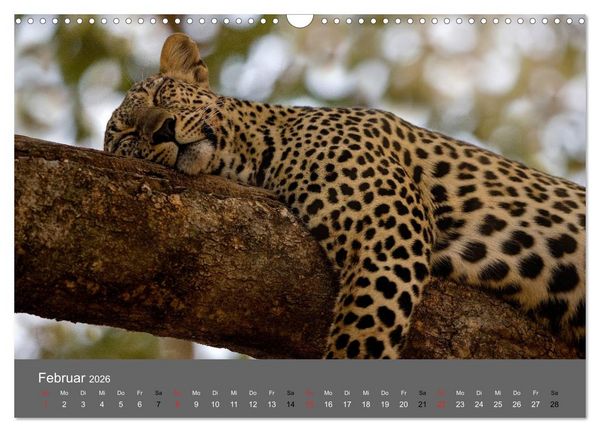 Produktbild: Ich tr&auml;umte von Afrika (Wandkalender 2026 DIN A3 quer), CALVENDO Monatskalender