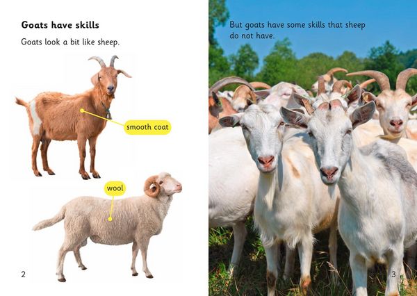 Produktbild: Goat Skills