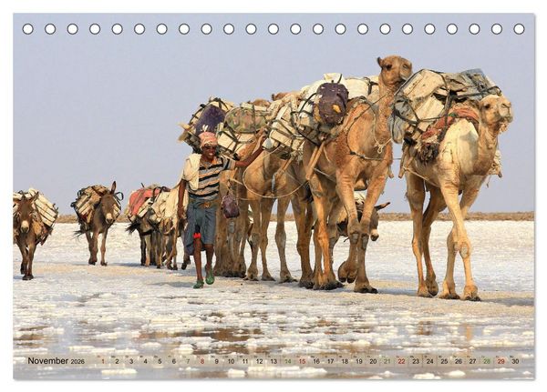 Produktbild: Kamele - Die freundlichen Gep&auml;cktr&auml;ger (Tischkalender 2026 DIN A5 quer), CALVENDO Monatskalender