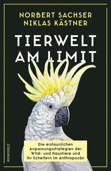 Produktbild: Tierwelt am Limit
