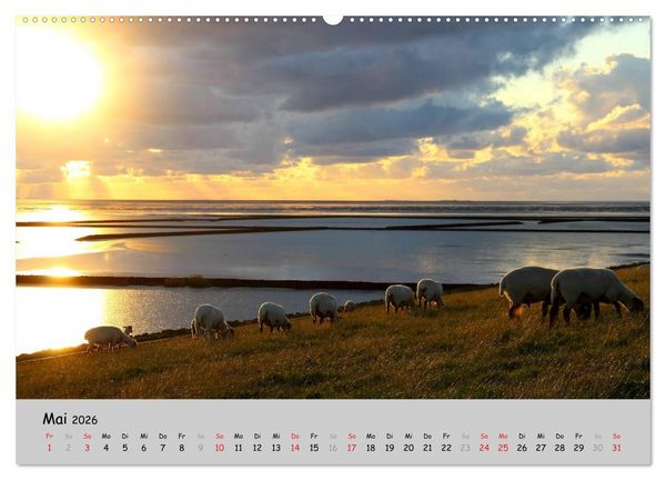 Produktbild: Sehnsucht Natur (hochwertiger Premium Wandkalender 2026 DIN A2 quer), Kunstdruck in Hochglanz