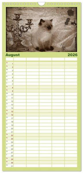 Produktbild: Familienplaner 2026 - Oma's Katzenkalender 2026 mit 5 Spalten (Wandkalender, 21 x 45 cm) CALVENDO
