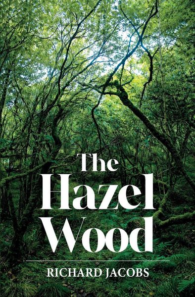 Produktbild: The Hazel Wood