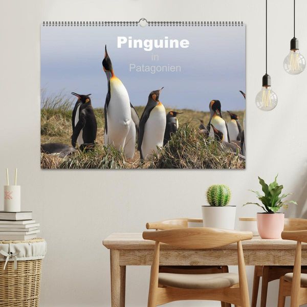 Produktbild: Pinguine in Patagonien (Wandkalender 2026 DIN A2 quer), CALVENDO Monatskalender