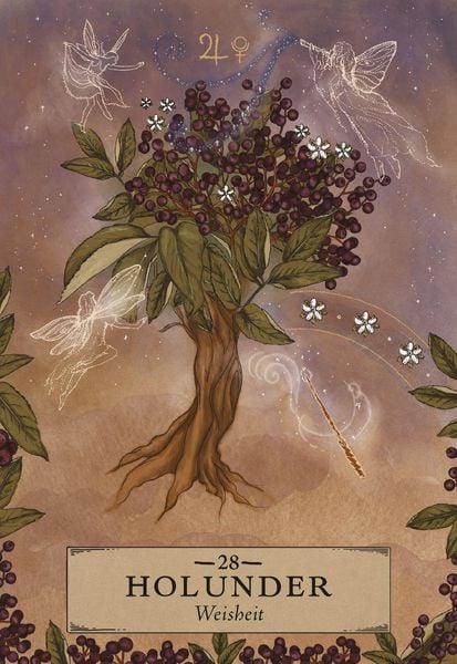 Herbal Astrology Orakel: 55 Karten mit Botschaften und Anleitungen