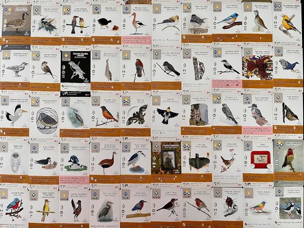 Produktbild: Stonemaier Games - Wingspan - Fan Art Pack (englische Version)