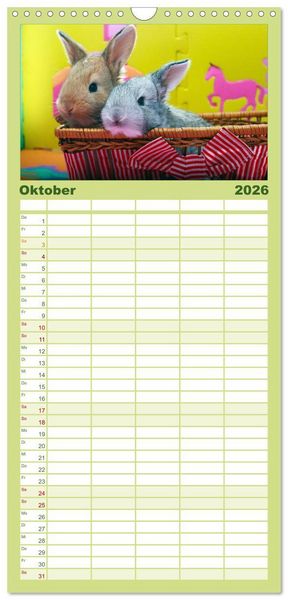 Produktbild: Familienplaner 2026 - Lustige Kaninchen mit 5 Spalten (Wandkalender, 21 x 45 cm) CALVENDO