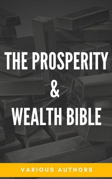 Produktbild: The Prosperity & Wealth Bible