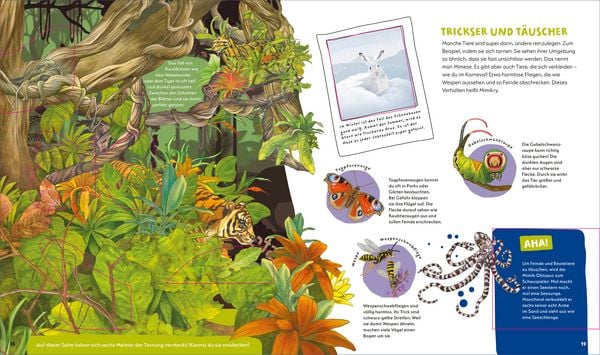 Produktbild: WAS IST WAS Kids Supertiere. Rekordhalter an Land, in der Luft und im Wasser