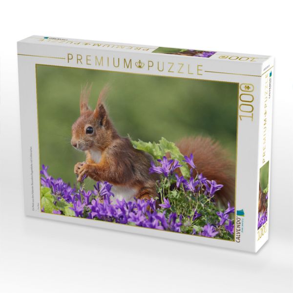 Produktbild: CALVENDO Puzzle Ein Motiv aus dem Kalender Besondere Augenblicke mit Eichh&ouml;rnchen | 1000 Teile Lege-Gr&ouml;&szlig;e 64x48cm Foto-Puzzle f&uuml;r gl&uuml;ckliche Stunden