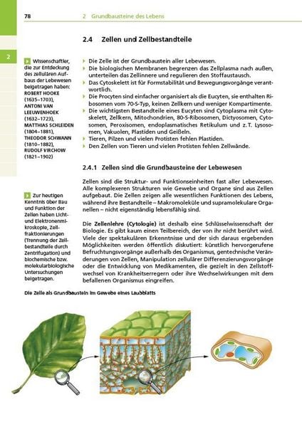 Produktbild: Basiswissen Schule &ndash; Biologie Abi