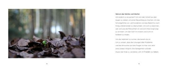 Produktbild: Das Blaue Juwel