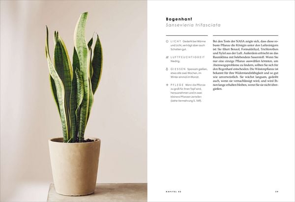 Produktbild: Die heilende Kraft der Zimmerpflanzen