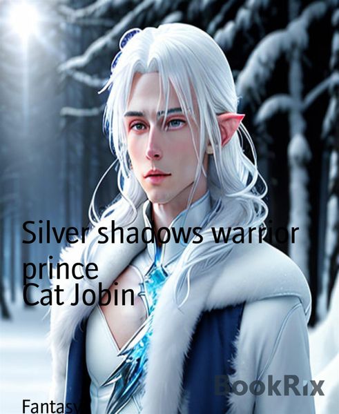 Produktbild: Silver shadows warrior prince