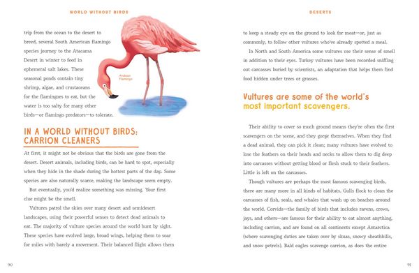 Produktbild: World Without Birds