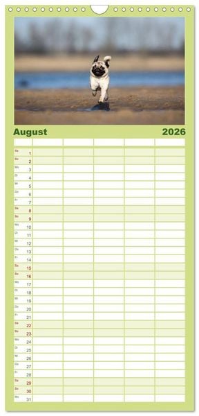 Produktbild: Familienplaner 2026 - POWERHUNDE 2026 mit 5 Spalten (Wandkalender, 21 x 45 cm) CALVENDO