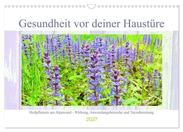 Produktbild: Gesundheit vor deiner Haust&uuml;re - Heilpflanzen am Alpenrand - Wirkung, Anwendungsbereiche und Teezubereitung (Wandkalender 2027 DIN A3 quer), CALVENDO Monatskalender