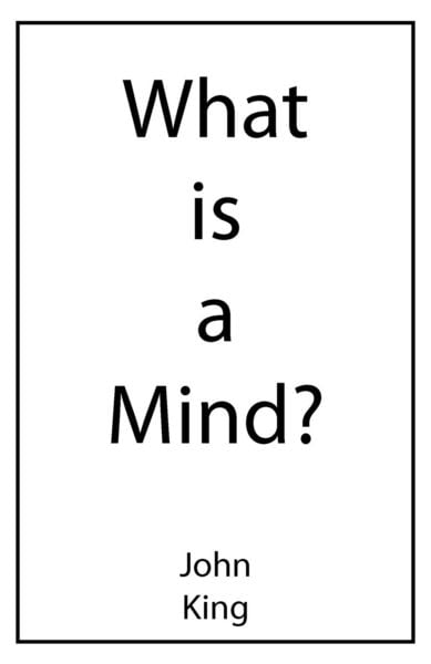 Produktbild: What is a Mind?