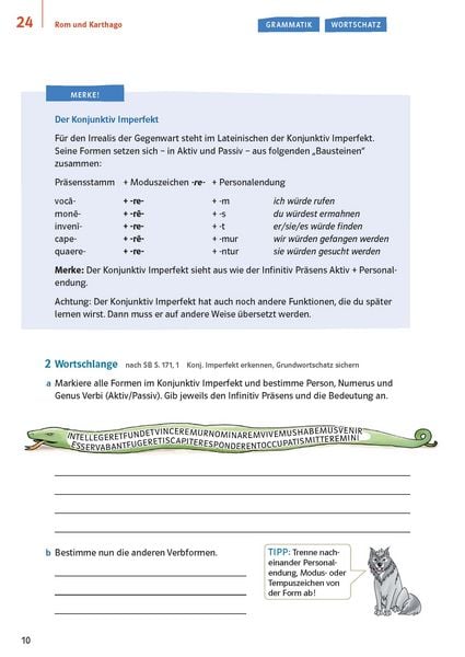 Produktbild: Pontes 3 Gesamtband (ab 2020) - Das Trainingsbuch zum Schulbuch 3. Lernjahr