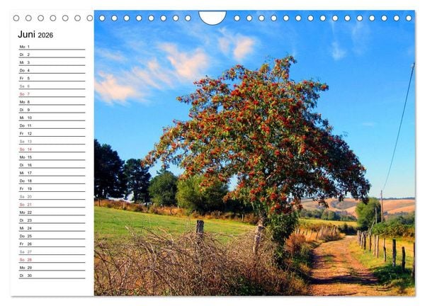 Produktbild: Jakobsweg - Camino Primitivo (Wandkalender 2026 DIN A4 quer), CALVENDO Monatskalender