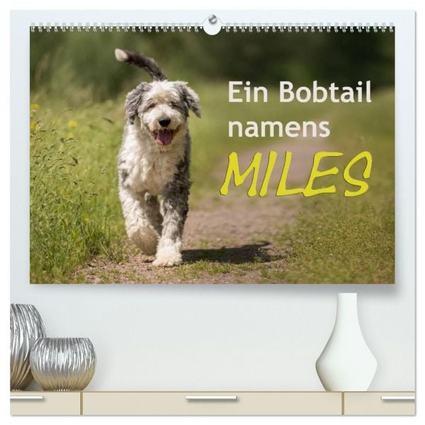 Produktbild: Ein Bobtail namens Miles (hochwertiger Premium Wandkalender 2026 DIN A2 quer), Kunstdruck in Hochglanz