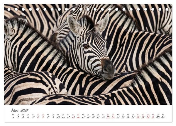 Produktbild: Better Together - Herdenmomente (Tischkalender 2027 DIN A5 quer), CALVENDO Monatskalender