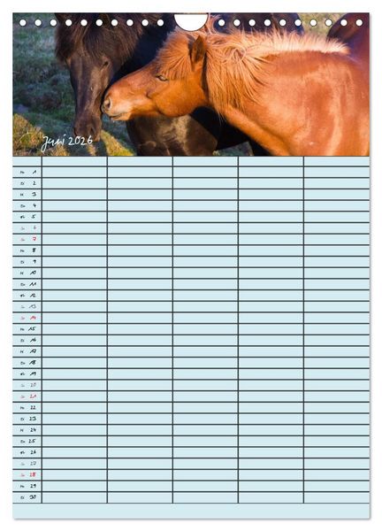 Produktbild: Island Familienplaner (Wandkalender 2026 DIN A4 hoch), CALVENDO Monatskalender